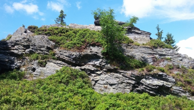 Vrcholové skály na Ostružné (1 184 m n. m.)... 