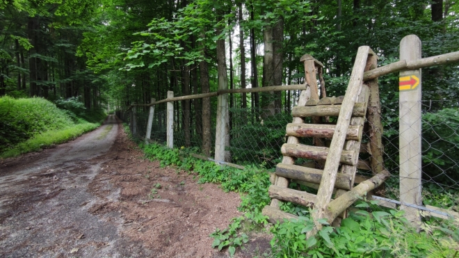 U obory Loučná si doletu cestu a jedu vzhůru k Čepeli.