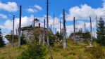 Bavorský Plattenhausenriegel (1 376 m n. m.). Skalky kousek od nejvyšsího bodu, který leží přímo u hranice, jsou dobrým vyhledovym místem do Bavorska. 