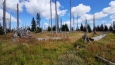 Cesta k Blatnému vrchu (1 367 m n. m) vede rozkladajícími se polomy.