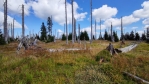Cesta k Blatnému vrchu (1 367 m n. m) vede rozkladajícími se polomy.