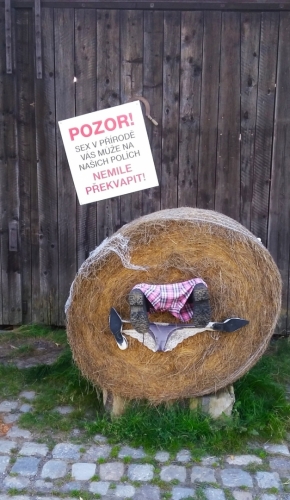 V blízkosti Příchovic dávejte pozor na poli! 