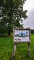Víska - dub ochránce Višňové, kterou zasáhla v roce 2010 tisíciletá voda. 