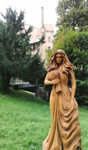 Fojtka.