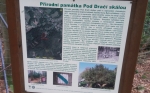 Informační cedule u PP Pod Dračí i skálou. 