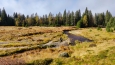 Javoří potok. (Ahornbach) přitéká z poza hranic od slatí Latschensee. 