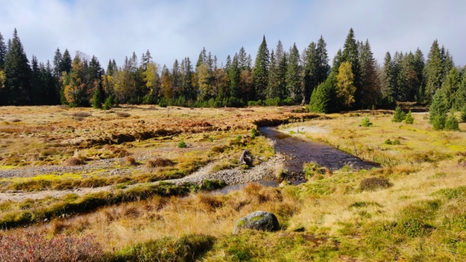 Javoří potok. (Ahornbach) přitéká z poza hranic od slatí Latschensee. 