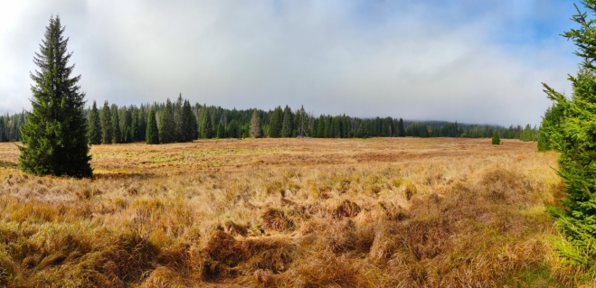 Panorama louky u Javoří Pily. 