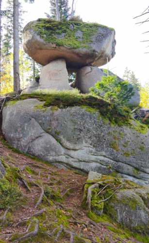 Hřib. 