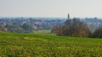 Mšeno z Debře.