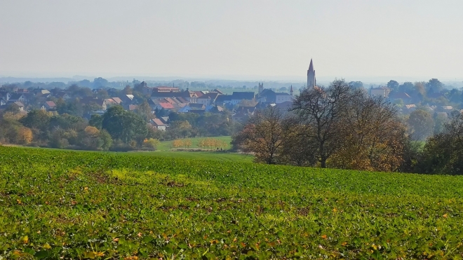 Mšeno.