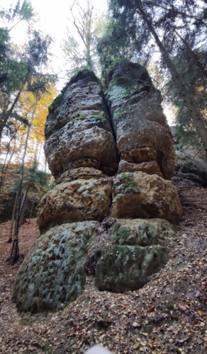 Procházíme svahem nad dolem Klašterka... 