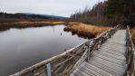 Dřevěný most zkracuje trasu a vyhybá se mokřinám přítoku potoka Olšina. 