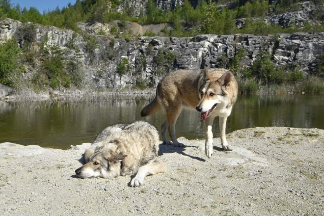 Jezírko v lomu u Rábí.