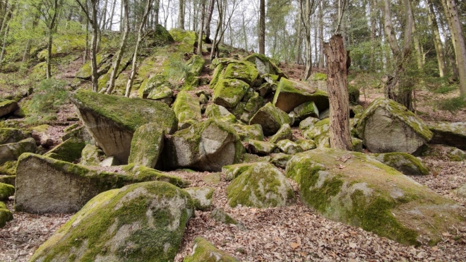 Rodrígova skála. 