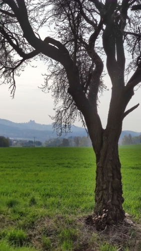 Od  Města znovu dohlédnu na Lipnici. 