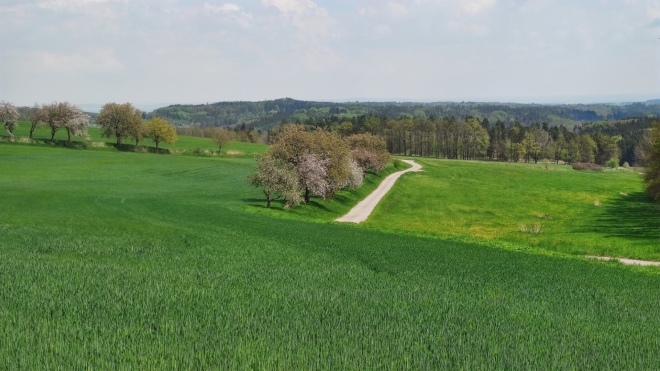 Pod Jedlovým vrchem. 