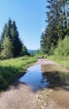 Od Sloupu musím často téměř plavat, silné bouře předchozího dne zanechaly v lesích své stopy. 