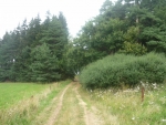 Takováhle cesta nás tam zavede