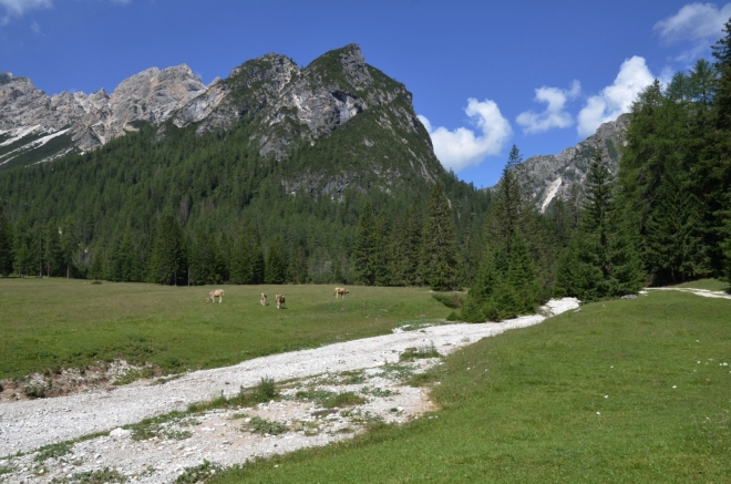Před chatou Malga Foresta.