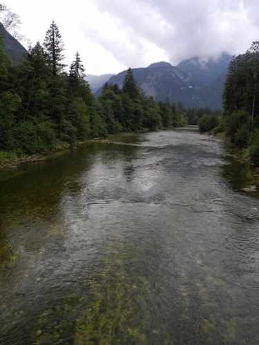 Traun. 