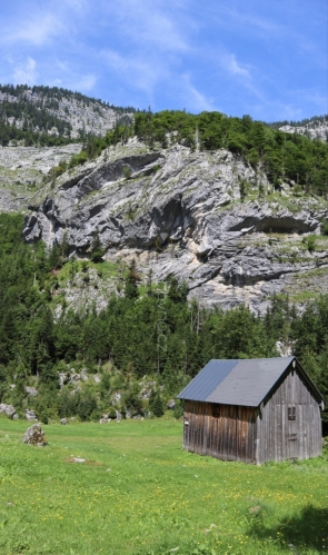 Weiße Wand. 