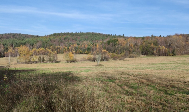 Nad Křížovicemi.