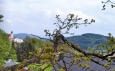 Ktiš.