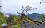 Ktiš.