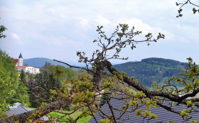 Ktiš.