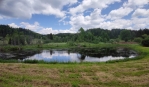 Uhlíkovský rybník. 