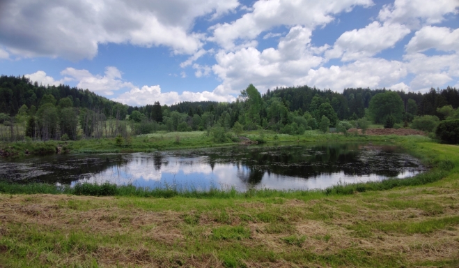 Uhlíkovský rybník. 