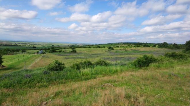 Vřesoviště Havraníky. 