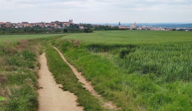 Polňačkou k Hradišti. 