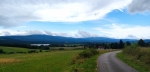 Smrčina. 