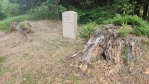 Na hřebenu mezi vrcholy Špičáku a Nad Hospodárnicí. 