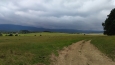 Pastviny nad Lipnem.