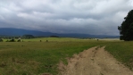 Pastviny nad Lipnem.