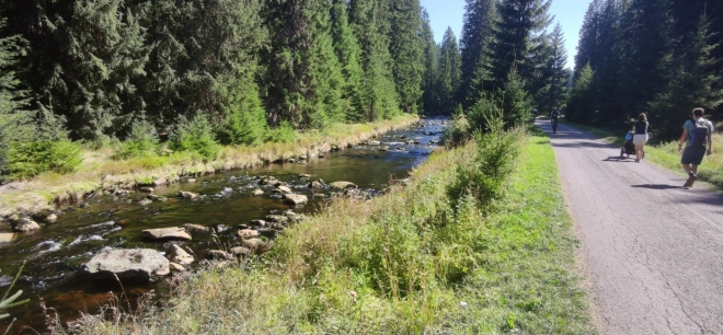 Modravský potok. 