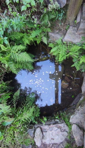 Studánka u pramenu Vltavy. 