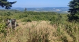 Výhledy od Albertova. 