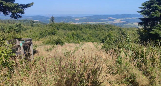 Výhledy od Albertova. 