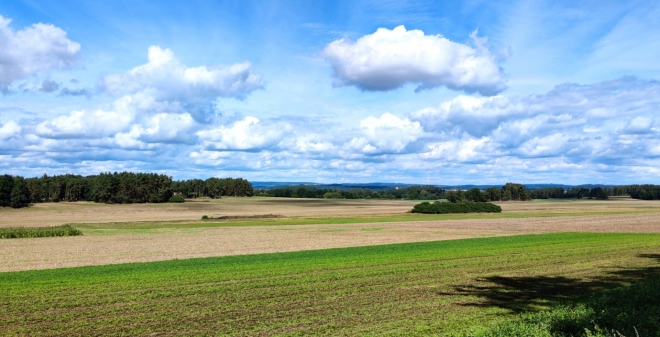 Krajina u Bezděkova. 