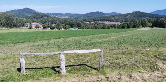 Panna, Kalich a Trojhora.