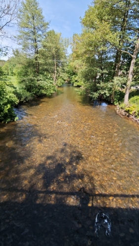 Morava u Alojzova.