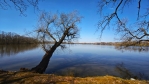 Zlivský rybník.