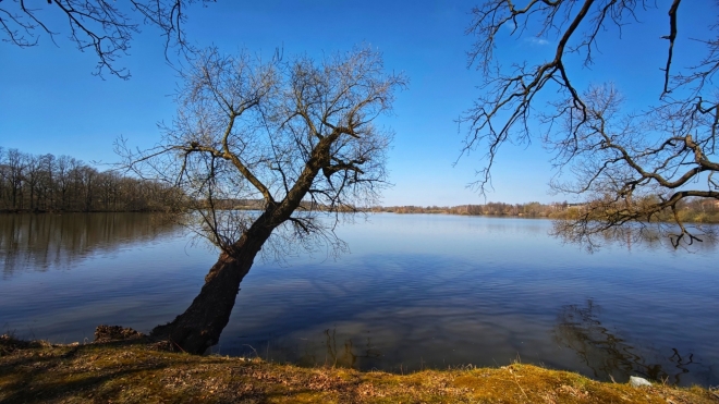 Zlivský rybník.