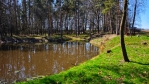 Adamovský rybník.