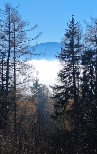 Boubín (1 364 m n. m.)