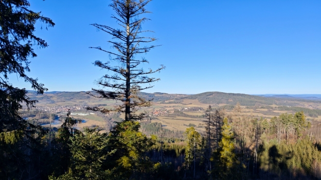 Javorník 